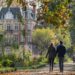 Vue panoramique des luxuriants espaces verts et parcs de Lille, illustrant la beauté naturelle qui enrichit l'aventure urbaine